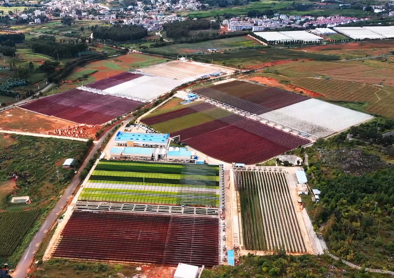 Featured image for “Aerial Video of BGG’s state-of-the-art, 100% glass tube Astaxanthin farm”